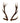 Red deer antlers pair 