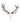 Gatter Red Deer Skull 