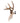 deer antler wall mount