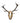 Fallow Deer Trophy