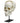 Partially assembled human medical study skull